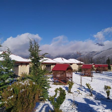 Bliss Inn Boutique Hotel Qəbələ Exterior foto