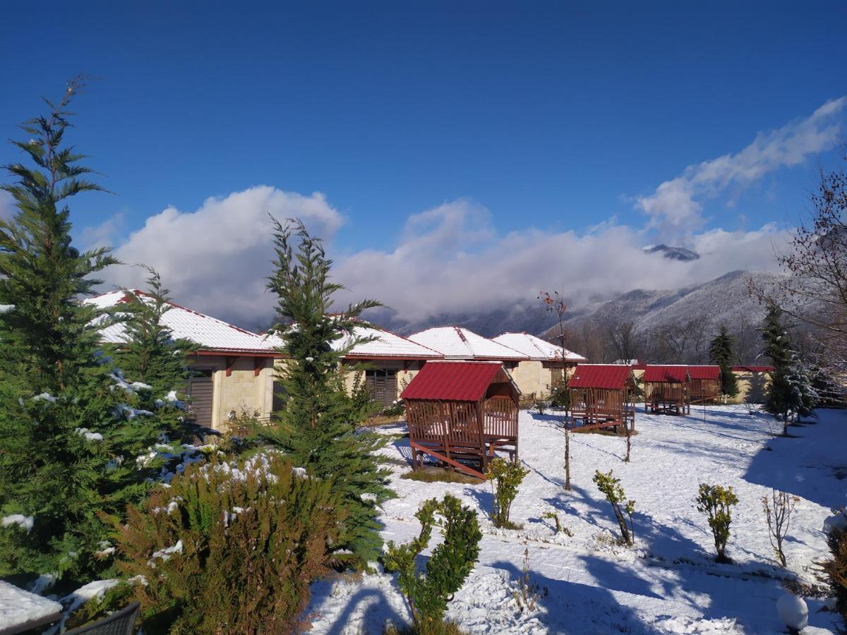 Bliss Inn Boutique Hotel Qəbələ Exterior foto